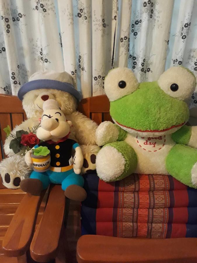 Garden Homestay Σούρατ Τανί Εξωτερικό φωτογραφία